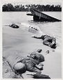 [Bodies of three dead American soldiers lying in the sand on shoreline ...
