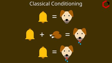 What Is Classical Conditioning Principles And Examples