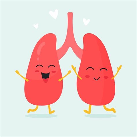 Premium Vector Cute Lungs Organs Characters