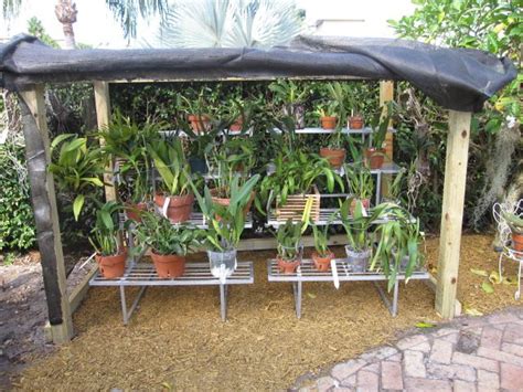 Shadehouse For Orchids Orchids Orchid House Orchids Garden