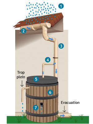 Maybe you would like to learn more about one of these? Eau de pluie : fonctionnement du système de récupération