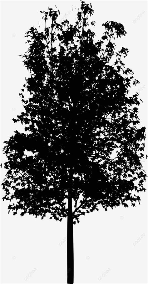 Realistic Vector Tree Silhouette On White Background Isolated Vector Deciduous Tree Beauty