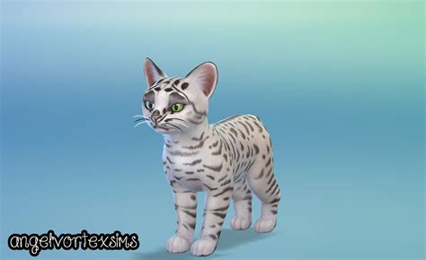 Angelvortexsims — First Cat Made In Sims 4 Blog Angelvortexsims