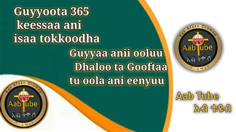 Guyyoota 365 Keessaa Ani Isaa Tokkoodha Guyyaa Anii Ooluu Dhaloota