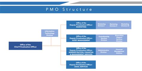Pmo Org Chart