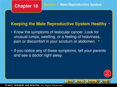 PPT Section 1 Male Reproductive System PowerPoint Presentation Free
