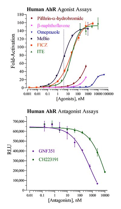 Ensure it is competitive, fiscally. AhR (human) Assay Kit | Indigo Biosciences | Biomol.com