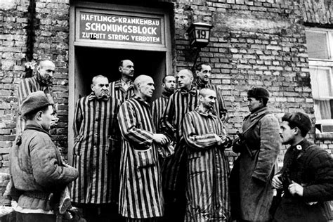auschwitz la liberación del campo de concentración más famoso del holocausto