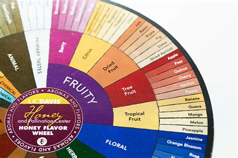 Sensory Scientist Wants To Reinvent The Flavor Wheel The Salt NPR
