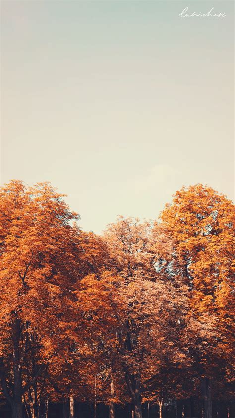 Iphone Wallpaper Herbst Free Phone Wallpaper Iphone Background