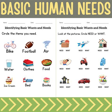 Basic Human Needs And Basic Needs Of Animals Activities Worksheet For