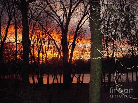 River Forest Sunset By Deborah Finley