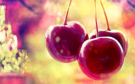 Cherries Wallpapers Wallpaper Cave