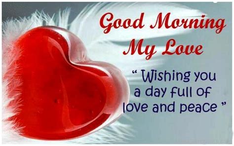 300+ good morning texts for her to make her heart sing. Good Morning My Love Wishing You A Day - DesiComments.com