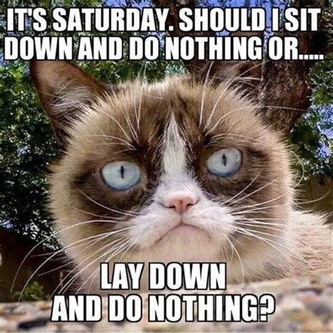 30 Saturday Memes To Make Your Weekend More Fun Li Linguas