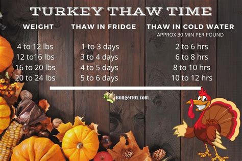 Turkey Thaw Time Chart