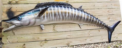 Wahoo 72 inch left Half Mount fiberglass fish replica ...
