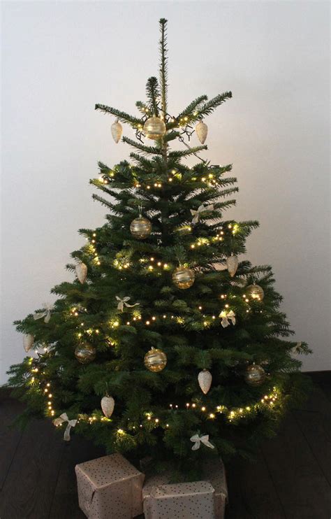 270cm 2070 tips/zweigchen, klappmechanismus, ø: Home - Echte fertig geschmückte Weihnachtsbäume ...