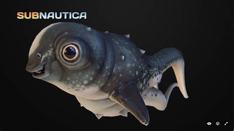 Image Life Form Qute Fishpng Subnautica Wiki Fandom Powered By Wikia