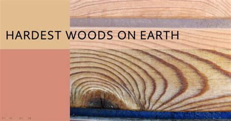 Top 10 Hardest Woods In The World A Durability Guide