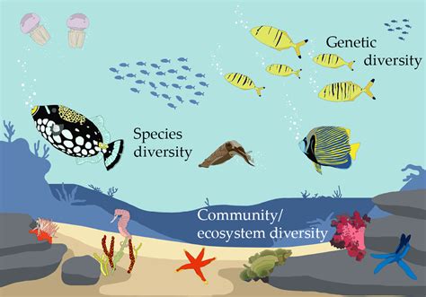 3 What Is Biodiversity