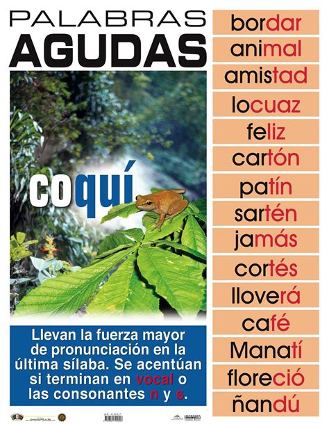 Afiches De Español Tamaño 17” X 22” Estándar Normativa Del