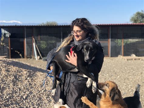 Corinth Visit, 2020 - Animal Action Greece