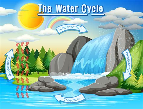 Water Cycle Process On Earth Scientific 685066 Vector Art At Vecteezy