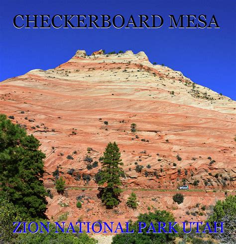 Checkerboard Mesa Znp Utah Photograph By David Lee Thompson Fine Art