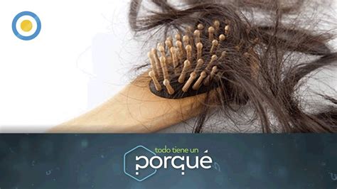 Todo Tiene Un Porqué ¿por Qué Crece Y Se Cae El Cabello Youtube