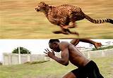 Photos of How Fast Can The Fastest Runner In The World Run