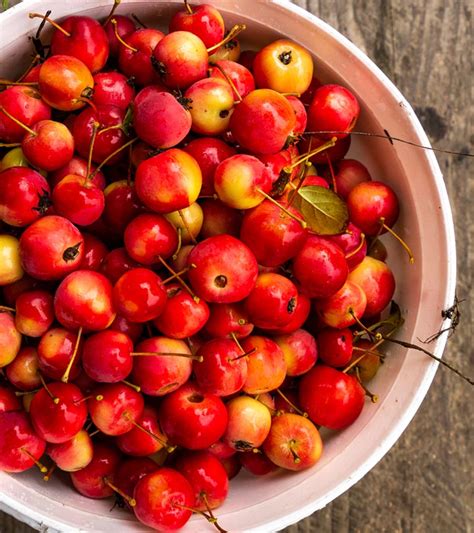 Crab Apples Nutrition Varieties Benefits And Risks