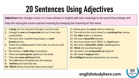 Examples Of Adjective Sentences In English English Study Here Vlr