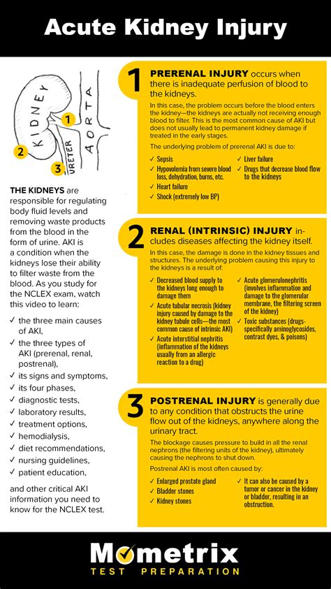 Acute Kidney Injury Signs And Symptoms Kidney Failure Disease