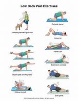 Photos of Yoga Exercises For Back Pain