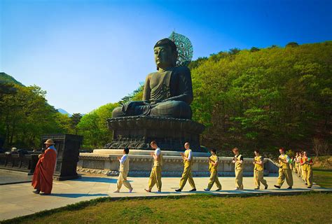 south korea is encouraging travellers to stay in buddhist temples