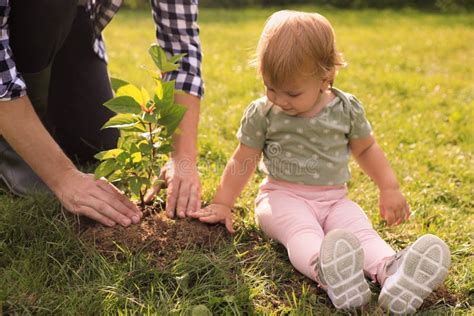 441 Tree Planting Kid Man Stock Photos Free And Royalty Free Stock