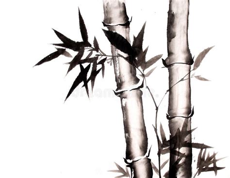Bamboo Ink Painting Hand Drawn Stock Illustration Image 70474941