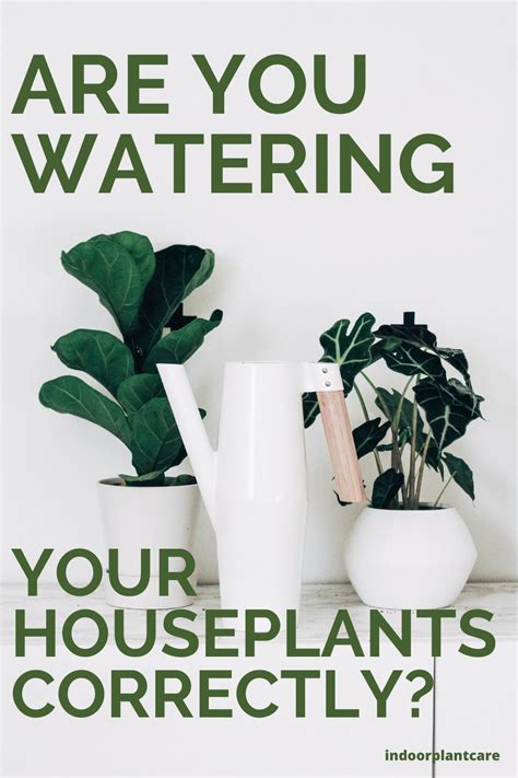 It Can Be Hard To Determine When To Water Your House Plants But This