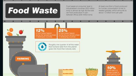 Food Waste From Farm To Fork And Landfill Cnn