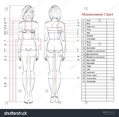 Woman Body Measurement Chart Scheme Measurement Stock Vector Royalty