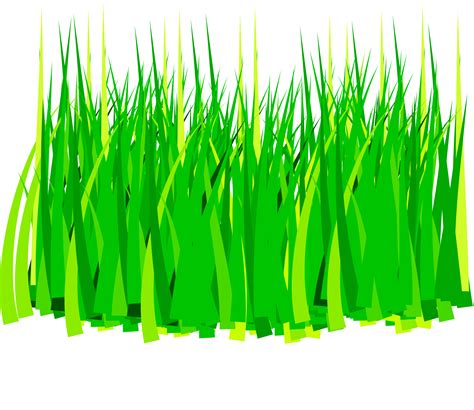 Clipart Grass