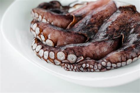 Premium Photo Raw Octopus On White Plate Mediterranean Seafood