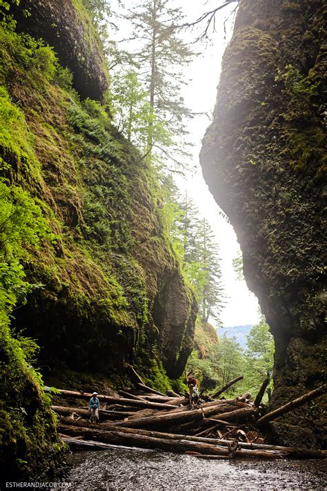 The Oneonta Gorge Hike To Lower Oneonta Falls