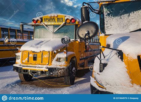Winter Snow Covered School Buses Stock Image Image Of Elementary