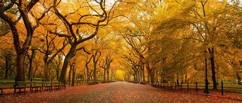 Ultra Wide Autumn Wallpapers Wallpaper Cave