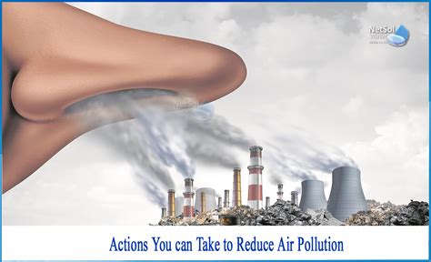 What Are 5 Ways To Reduce Air Pollution Netsol Water