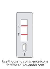 The number of false negatives can increase significantly simply due to the lack of understanding people will have in testing themselves. BioRender | Tools