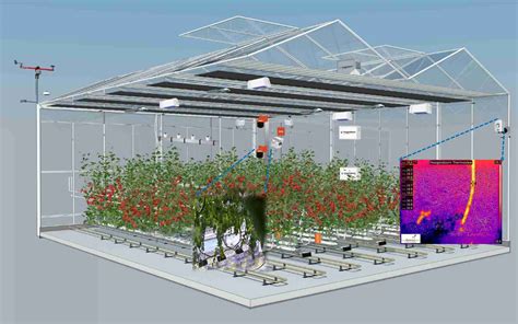 Keygene Autonomous Greenhouse Computer Grows The Best Tomatoes And Beats Professional Growers