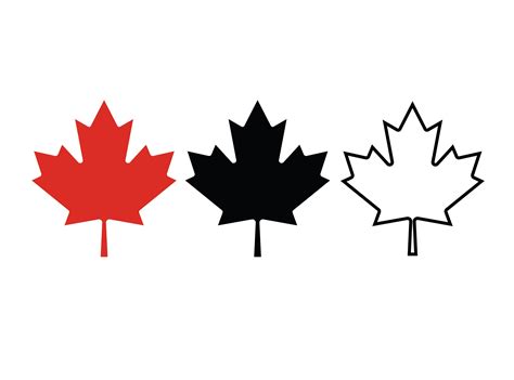 Canadian Maple Leaf Svg Maple Leaf Outline Svg Maple Leaf Etsy